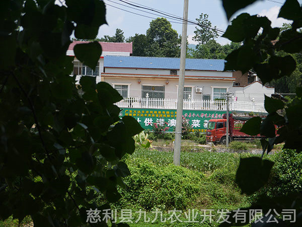 新城區基地