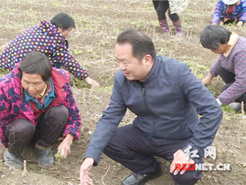 榮譽資質