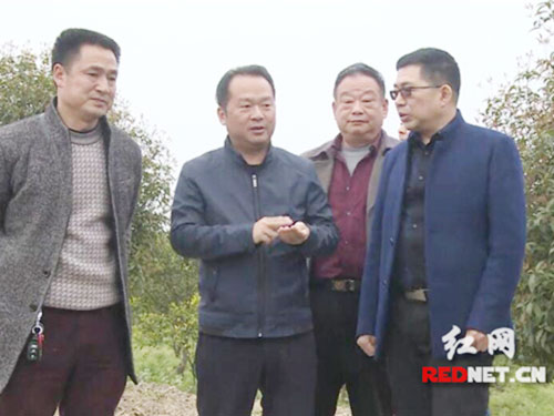榮譽資質