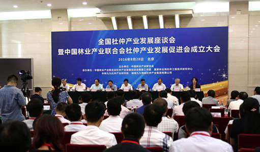全國杜仲產業發展座談會暨中國林業產業聯合會杜仲產業發展促進會成立大會京召開