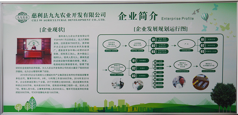 慈利縣九九農業開發有限公司,張家界粘木苗銷售,杜仲種植,苗木銷售