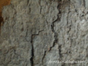 廣西百色市金騰軟木制品廠 專業(yè)制造優(yōu)質(zhì)軟木制品