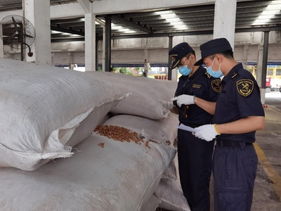 老港海關查獲6.3噸禁入固體廢物，軟木制品制造原料藏隱患